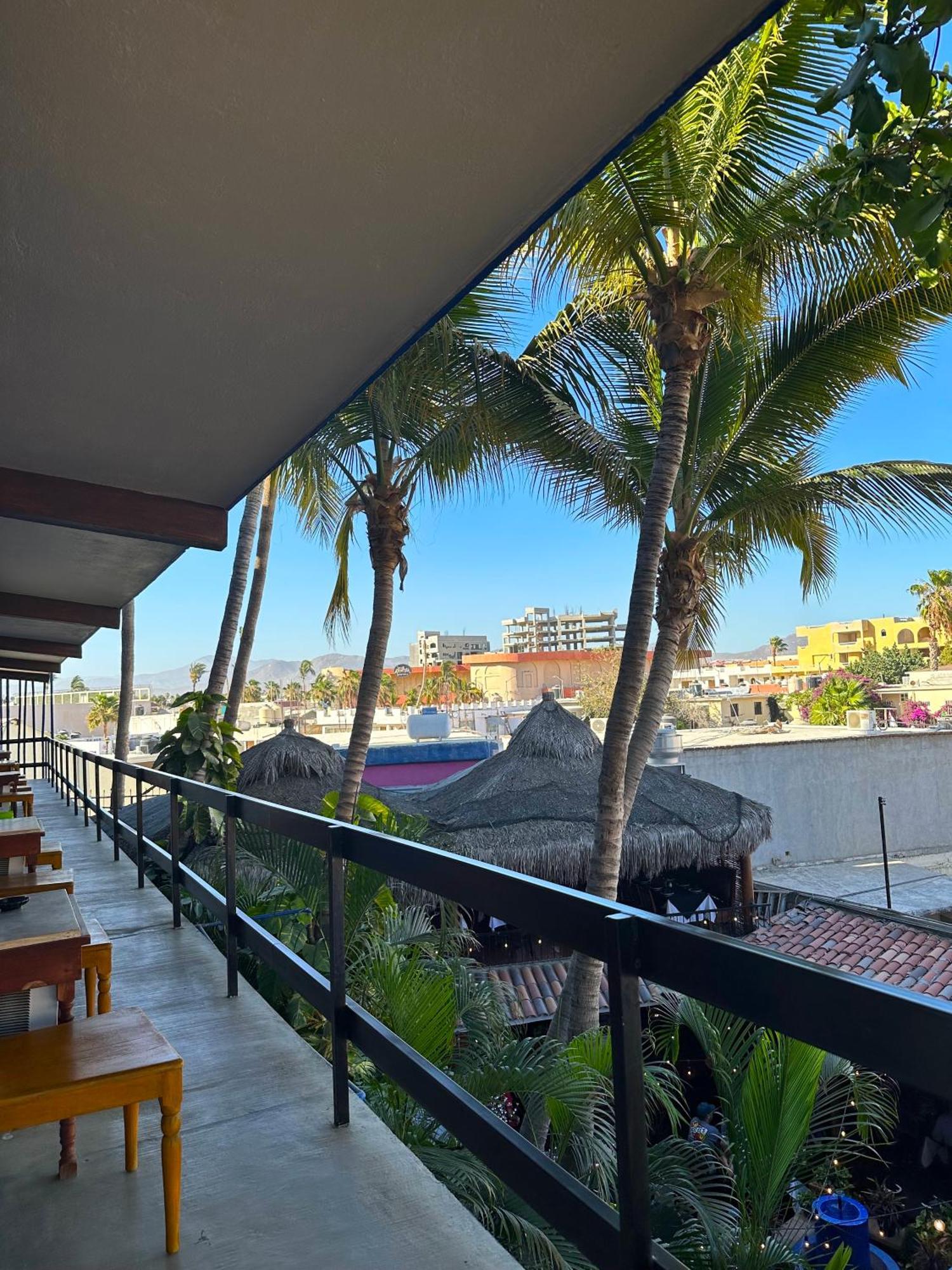 Siesta Suites Boutique Hotel Cabo San Lucas Eksteriør billede
