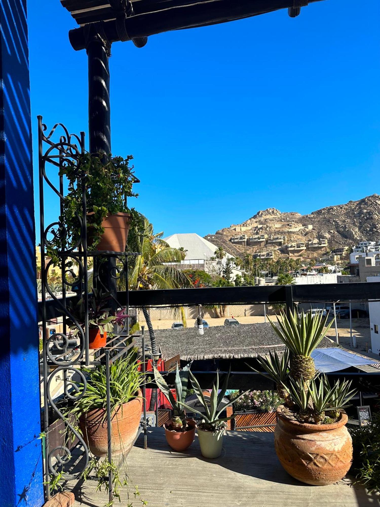 Siesta Suites Boutique Hotel Cabo San Lucas Eksteriør billede