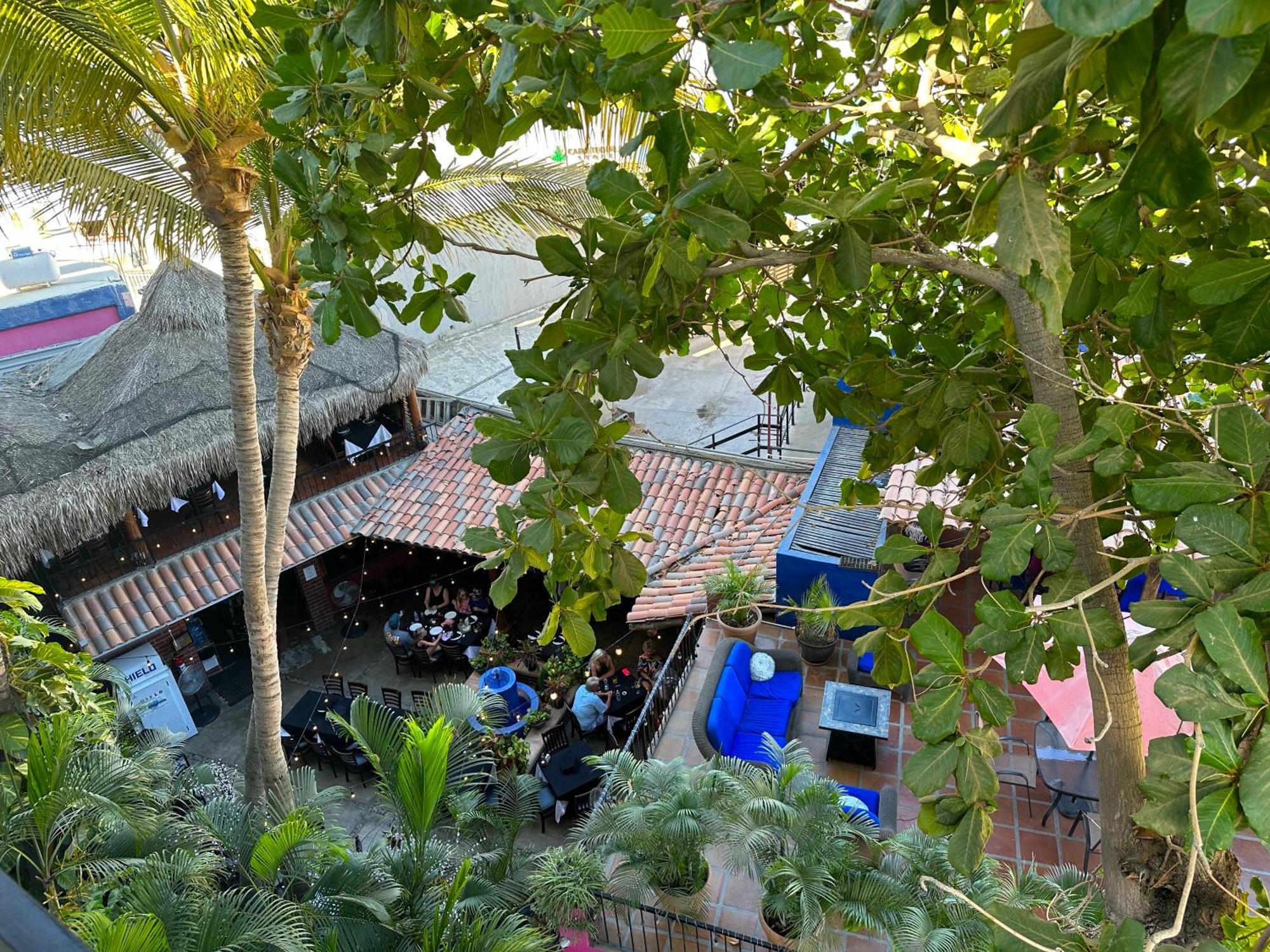 Siesta Suites Boutique Hotel Cabo San Lucas Eksteriør billede