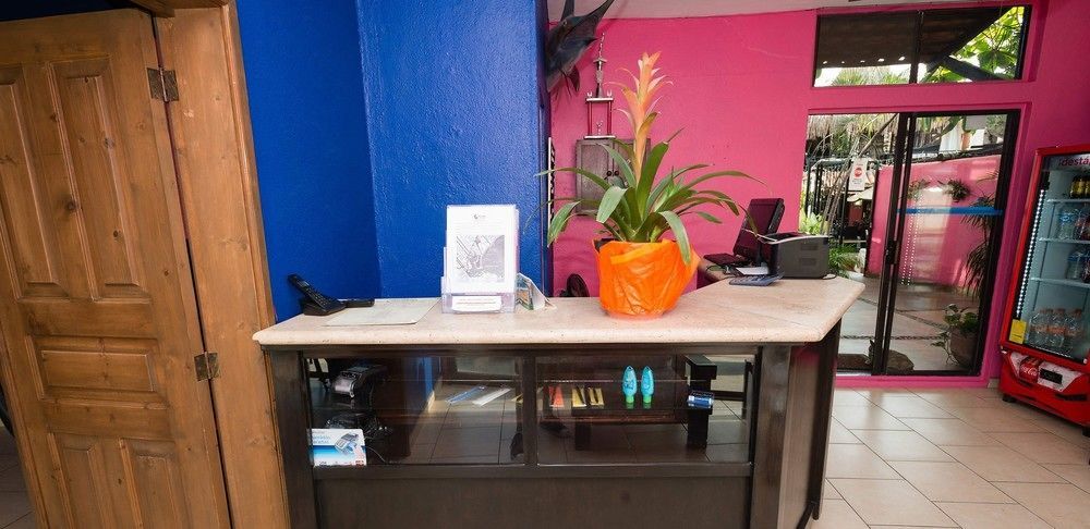 Siesta Suites Boutique Hotel Cabo San Lucas Eksteriør billede