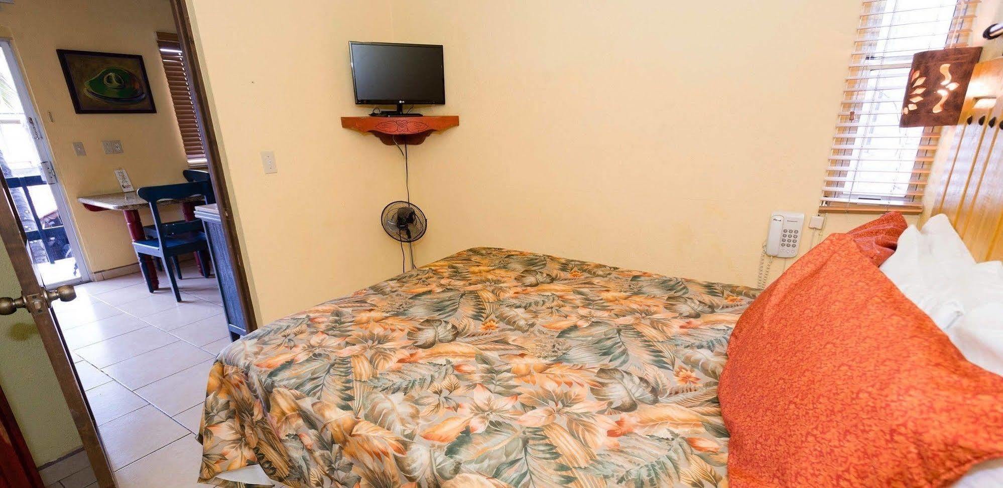 Siesta Suites Boutique Hotel Cabo San Lucas Eksteriør billede